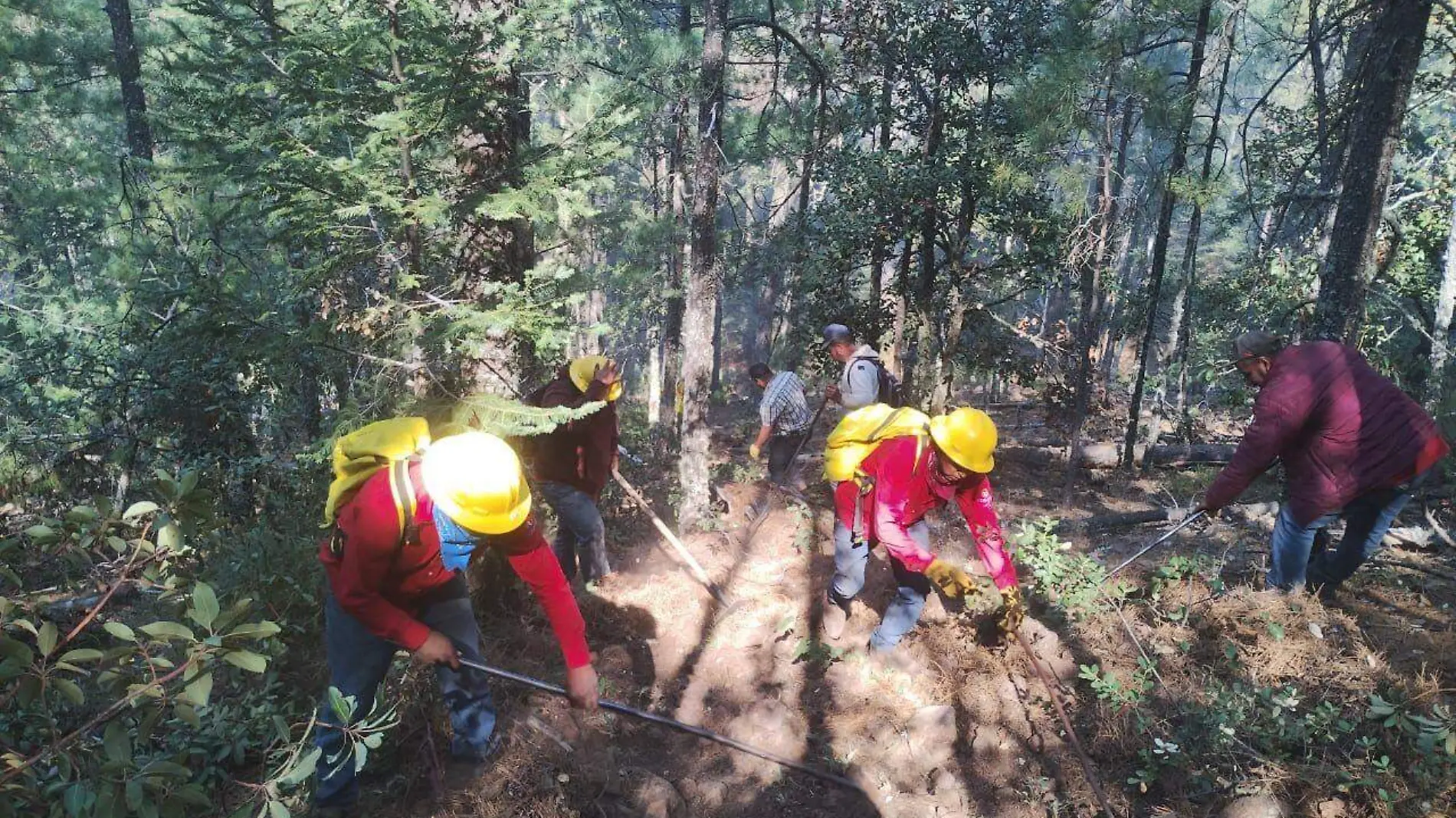 incendios forestales 2